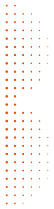 b2s-simbolo.png